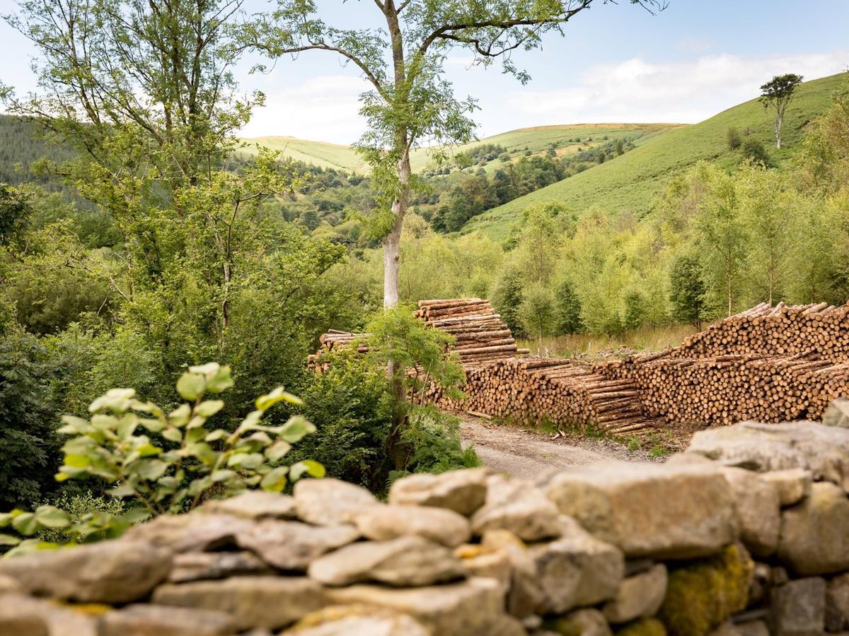 Red Kite Barn - Charming Boutique Barn Conversion Newbridge on Wye Exterior photo